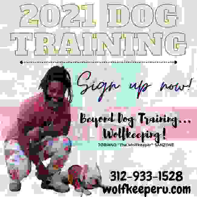 Chicago Dog Training and Services Wolfkeeper University